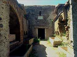 click to enlarge photograph